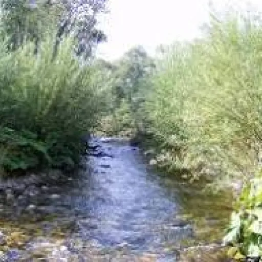 Fotogaléria